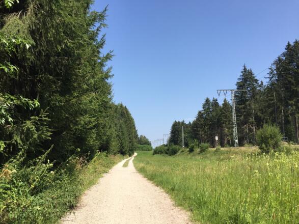 Radweg Oberwarngau - Thann