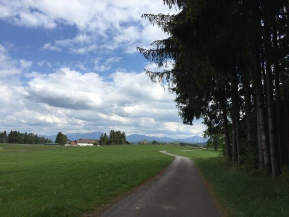Pollinger Weiher Richtung Hachtsee
