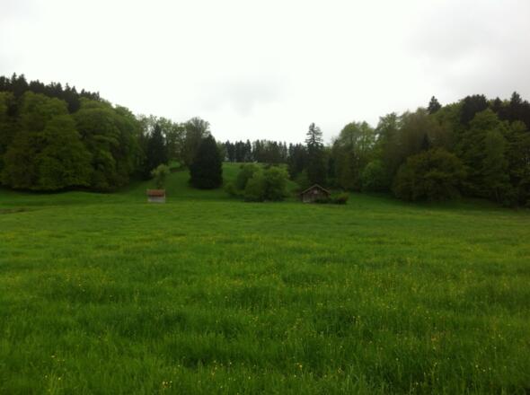 Diese Etappe führt durch die saftigen Wiesen des Pfaffenwinkels.