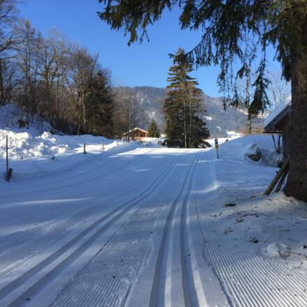 Steigung Richtung Scharling