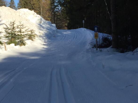 kurzer Anstieg Richtung Scharling