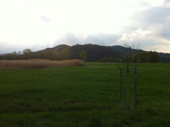 Vom Weg kann man die Alpen und den Hohen Peißenberg erblicken