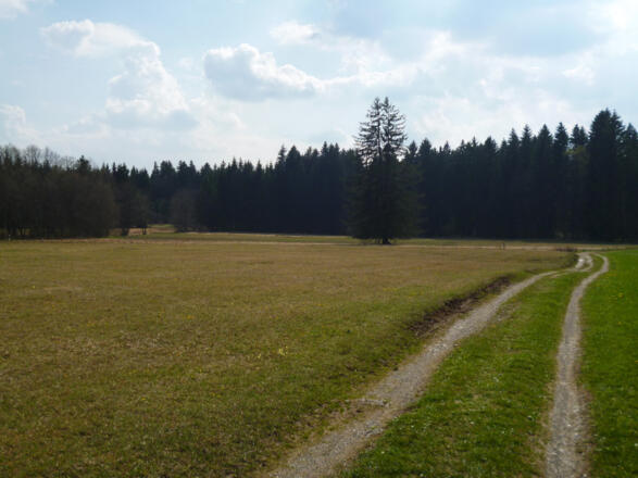 Der Weg führt weiter durch das wunderschöne Moorgebiet.