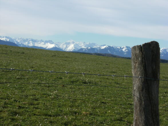 Blick von Otterfing in die verschneiten Alpen
