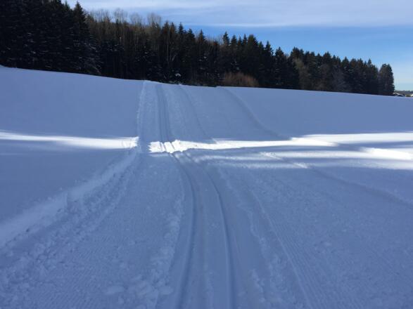 Die Abfahrt hat es in sich.