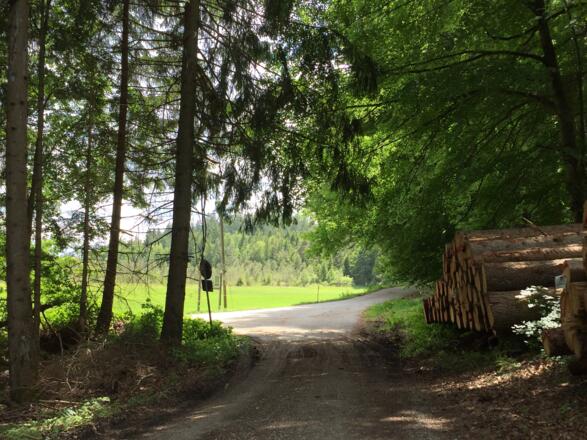 Hier rechts abbiegen Richtung Egenried