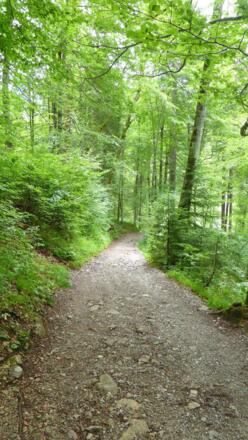 Kiem Pauli Weg schlechter Untergrund