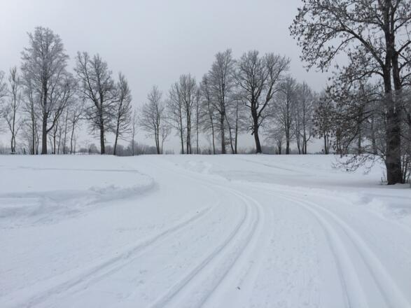 Dieser Anstieg geht auch gut.