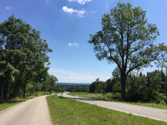 Abfahrt zurück zum Zellsee