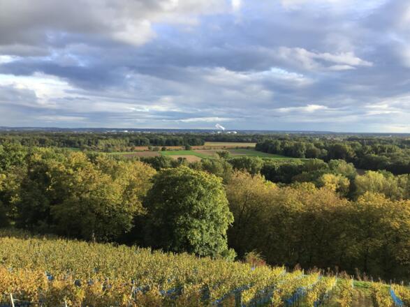 Schleifenroute - Schloss Leitheim Donaublick