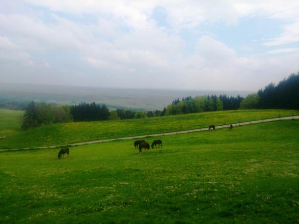 Aufstieg zum Hohenpeißenberg