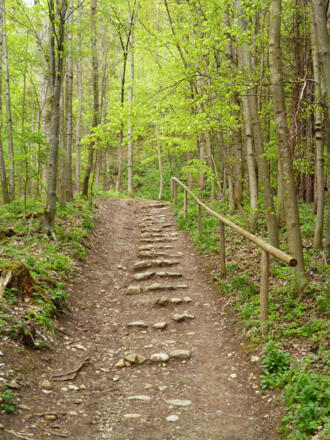 Über Wurzeln und Stufen führt der Wanderweg auf den Hohen Peißenberg.