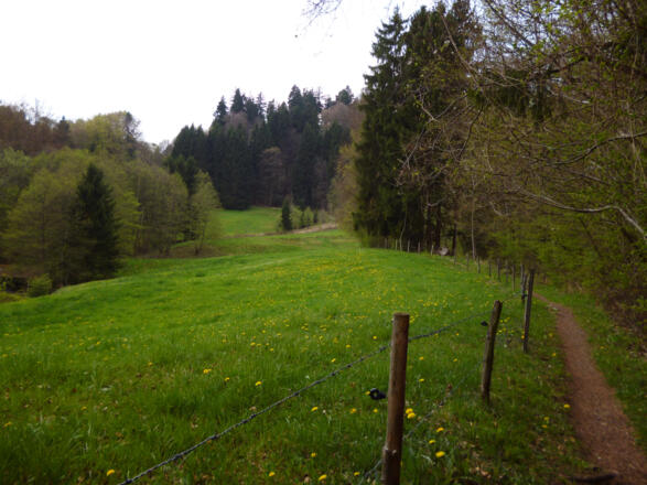 Idyllisch führt der schmale Pfad am Waldrand entlang vom Mittelstollen aufwärts Richtung Vorderschwaig.