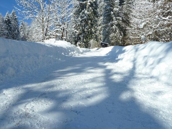 Rodelbahn Hirschberg