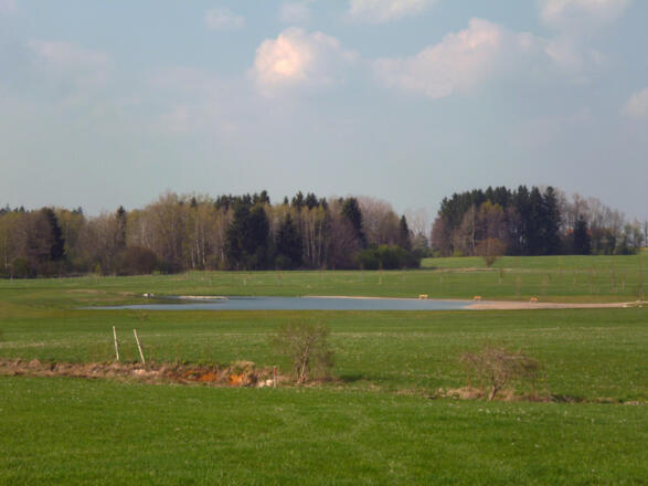 Blick auf den idyllisch am Rand des Naturschutzgebiets Schwarzlaichmoor gelegenen Badesee.