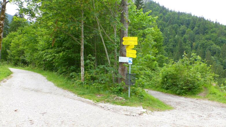 Hier rechts runter zur Fischfarm oder Siebenhütten, links geht es mit dem Rolli nicht mehr weiter. Vorsicht etwas steiler, leicht schräg, Wurzeln und Steine!
