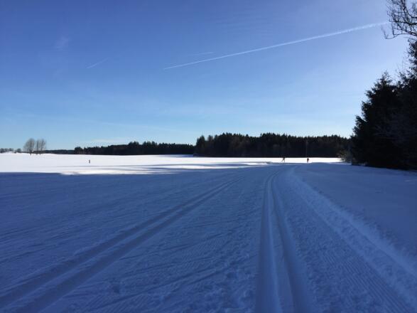 Flach Richtung Osten.