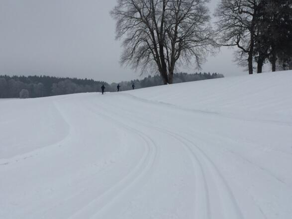 Vorsicht hier Seitenneigung