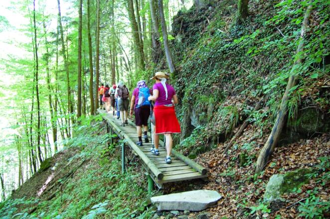 durch die Ammerleiten