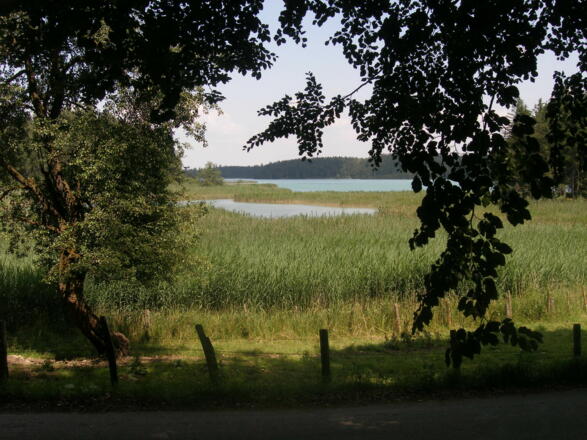 Blick auf den Großen Ostersee. 