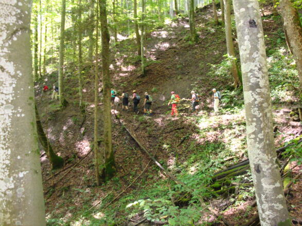 Hangweg im Ammertal