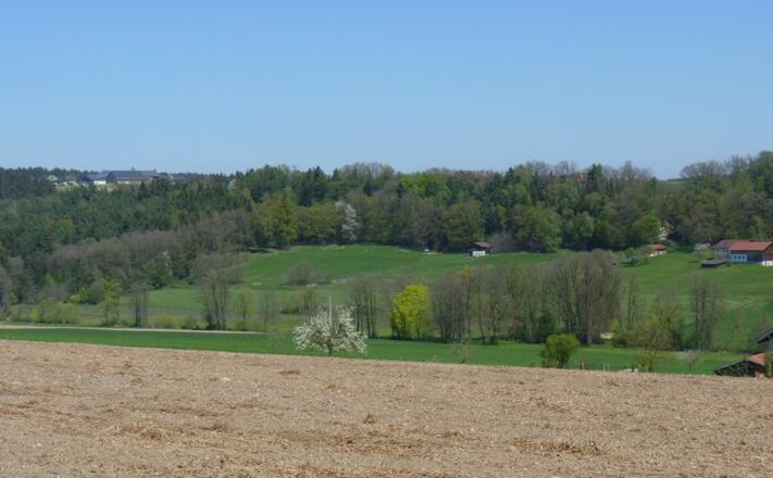 Blick ins Gambachtal
