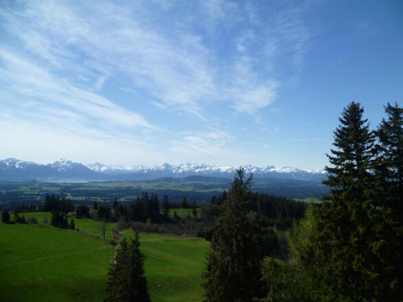 Aussicht vom Auerberg ins Allgäu