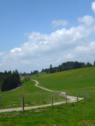 Durch saftig grüne Wiesen geht es von Resle zum Fronreitner See.