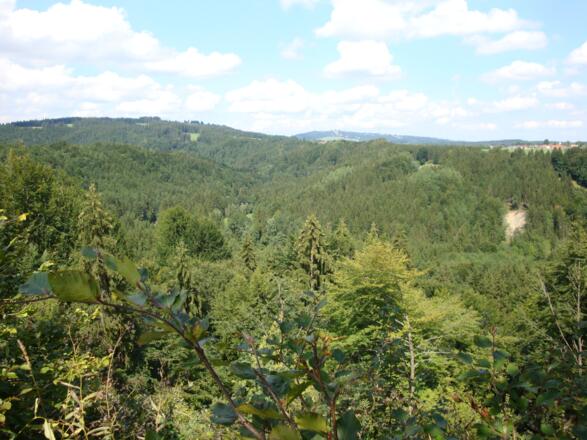 Landschaft in der Nähe von Rottenbuch