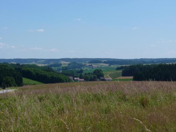 Ausblick bei Lindberg