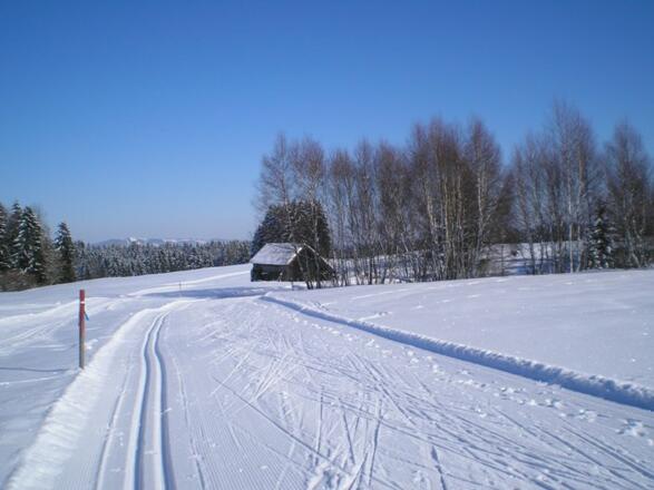 Langlaufloipe Mühlfeld Rottenbuch
