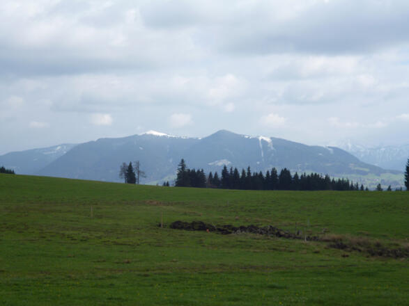 Alpenblick bei Geigersau