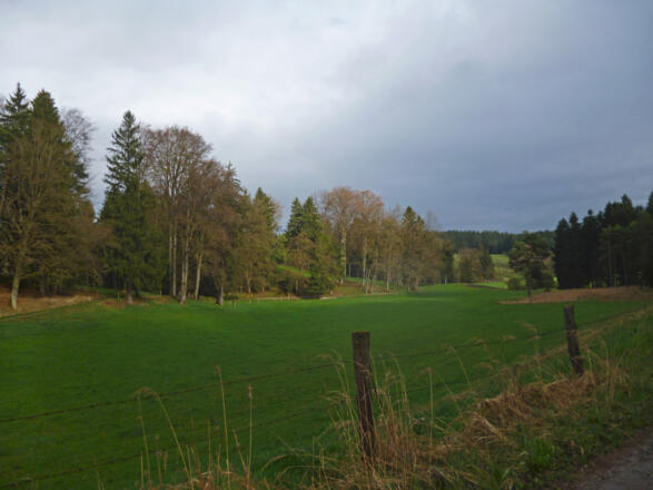 Der Weg führt teils über saftig grüne Wiesen und Felder, teils durch kleine Wäldchen.