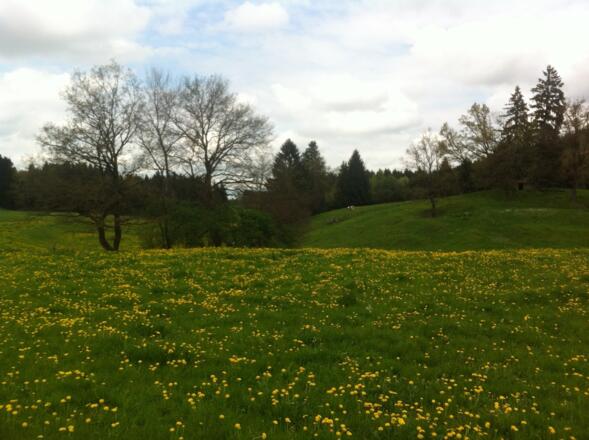 Der Weg führt durch die malerische Landschaft des Pfaffenwinkels.