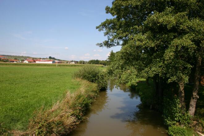 Der Sulzbach bei Moosmühle.