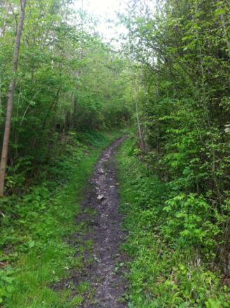 Romantische Wege führen uns nach Buchen.