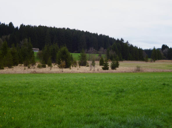 Südlich von Huglfing führt der Weg vorbei an weiten Wiesen- und Moorflächen.