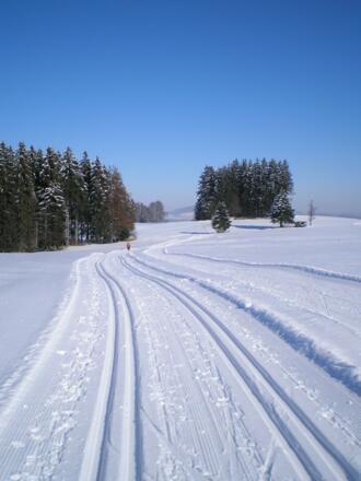 Langlaufloipe Mühlfeld Rottenbuch