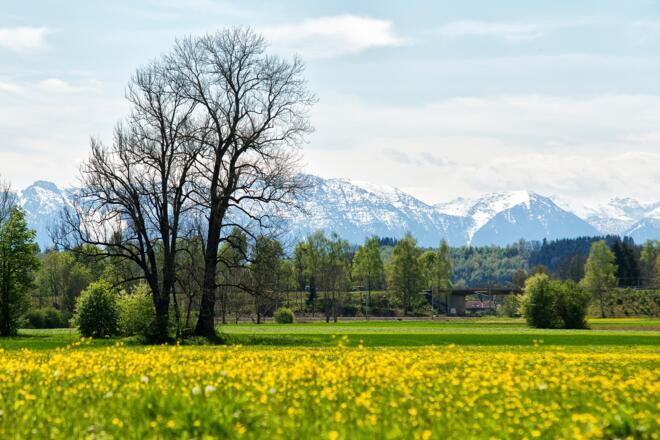 Blick in die Berge aus der Weilheimer Ammer Au