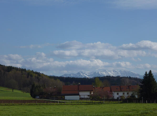 Auf dem Rückweg entlang des östlichen Ortsrands von Eberfing lohnt sich ein Blick zurück - die Häuser von Eberfing mit den dahinter aufragenden Gipfeln der Bayerischen Alpen.
