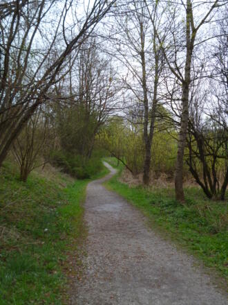 Idyllisch führt der Fußweg vom Dietlhofer See in Richtung Nordosten.