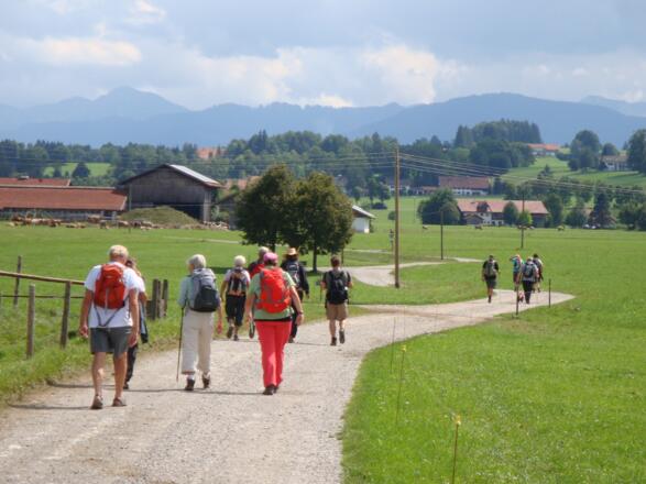 Es geht immer Richtung Alpen