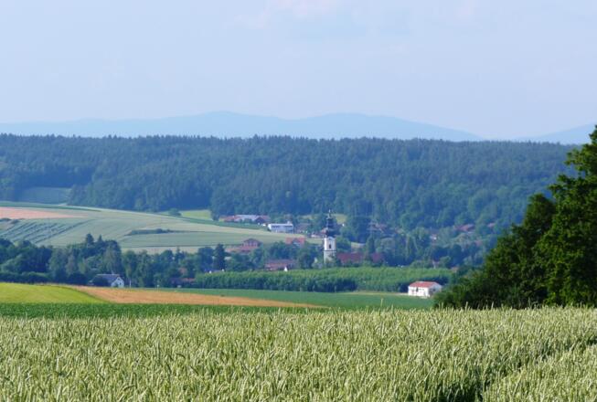 Blick auf Mariakirchen