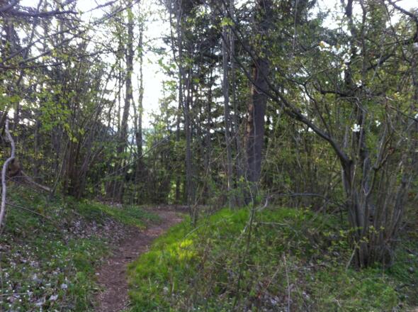 Zum Klinikum führt ein romantischer Pfad mit Blumen
