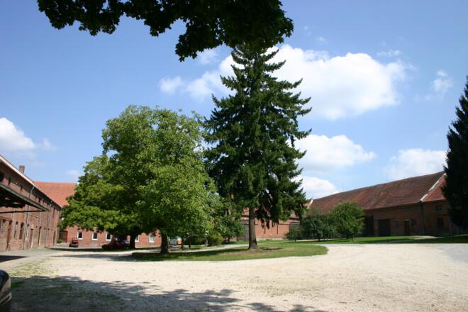 Hofstelle in Baumgarten.