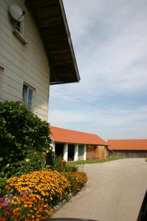 Malerisches Nußdorf.