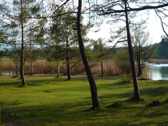 Auf der Liegewiese am Ostufer des Fohnsees spenden zahlreiche Bäume Schatten.