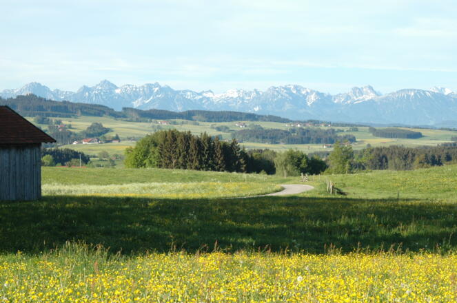 Blick in die Allgäuer Berge südlich von Krottenhill