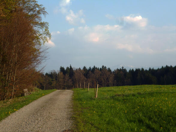 Panoramareich führt der Weg über den Schellenberg.