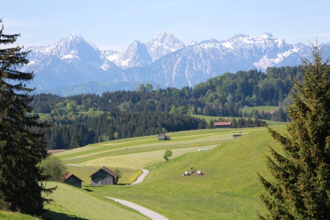 Einzigartiges Alpenpanorama